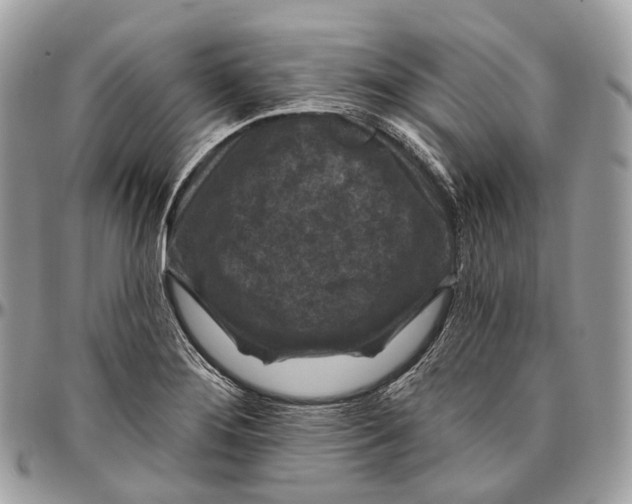 X0000096411276200802141533