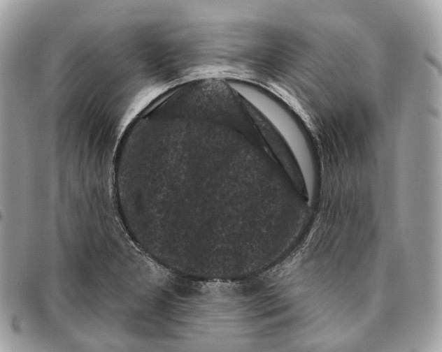 X0000096411277200802141533