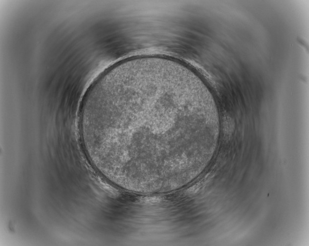 X0000096411278200802141533