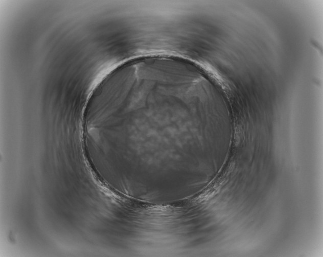 X0000096411279200802141533