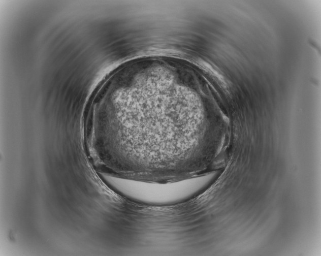 X0000096411280200802141533