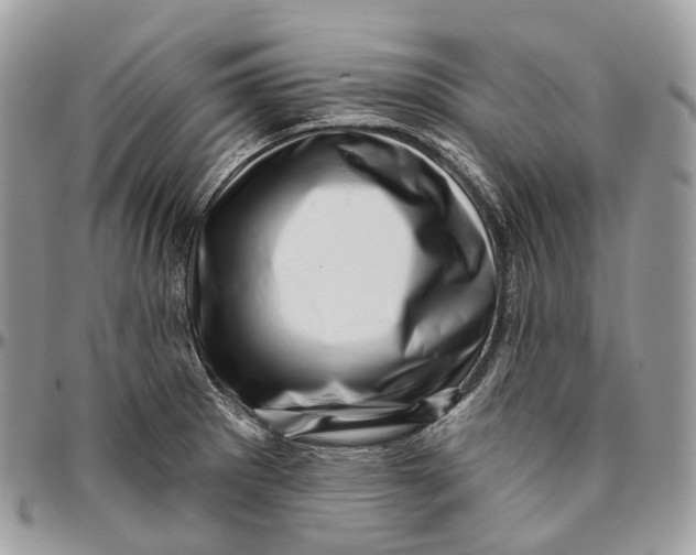 X0000096411281200802141533