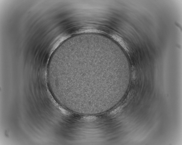 X0000096411282200802141533