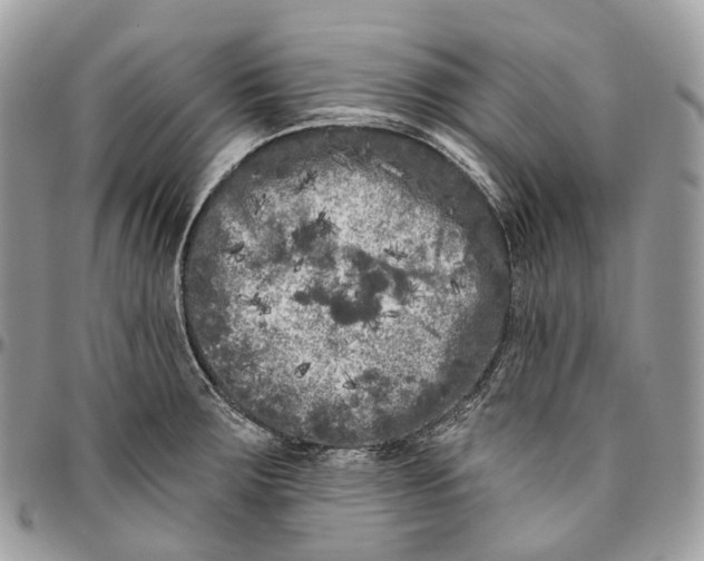 X0000096411283200802141533