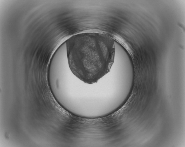 X0000096411284200802141533