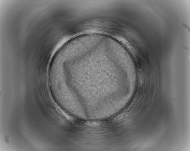 X0000096411286200802141533