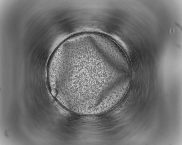 X0000096411287200802141533