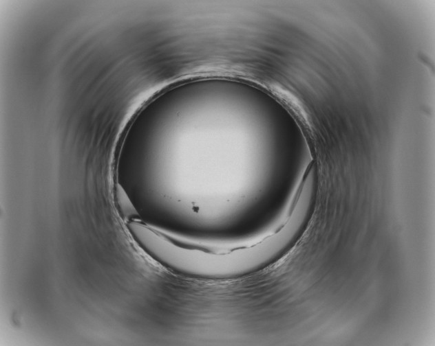 X0000096411288200802141532