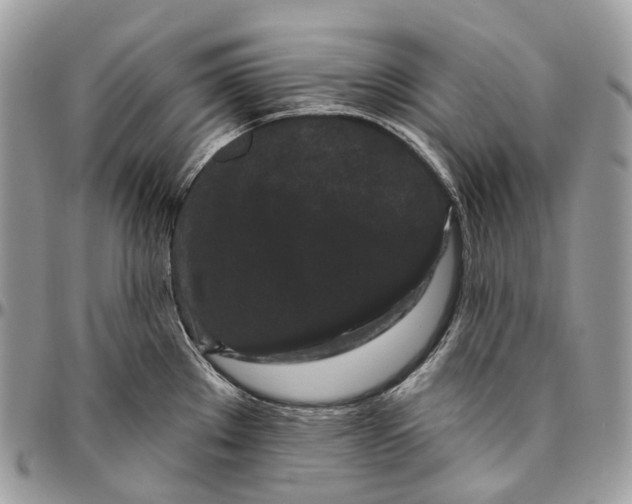 X0000096411289200802141532