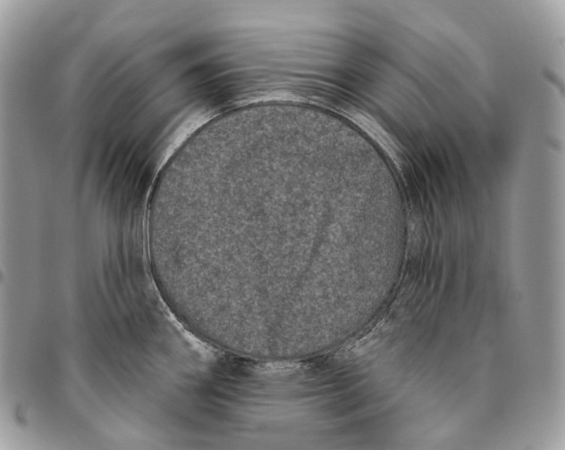 X0000096411290200802141532