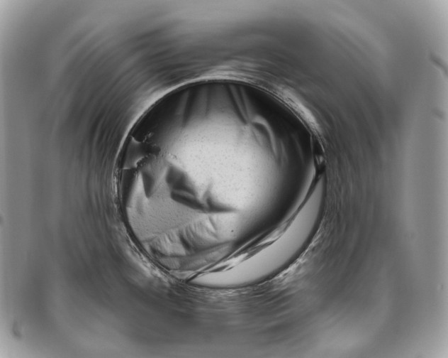 X0000096411292200802141532