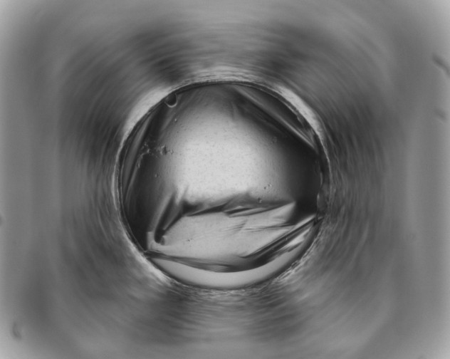 X0000096411293200802141532