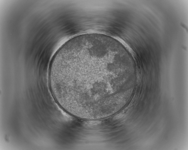 X0000096411294200802141532