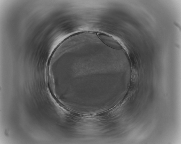 X0000096411295200802141532