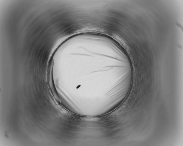 X0000096411296200802141532