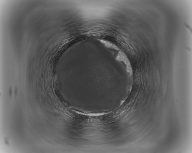 X0000096411297200802141532