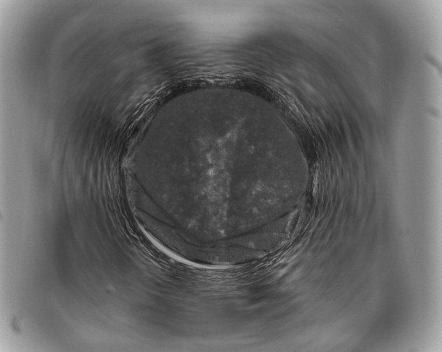 X0000096411298200802141532