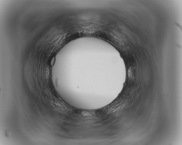 X0000096411299200802141532