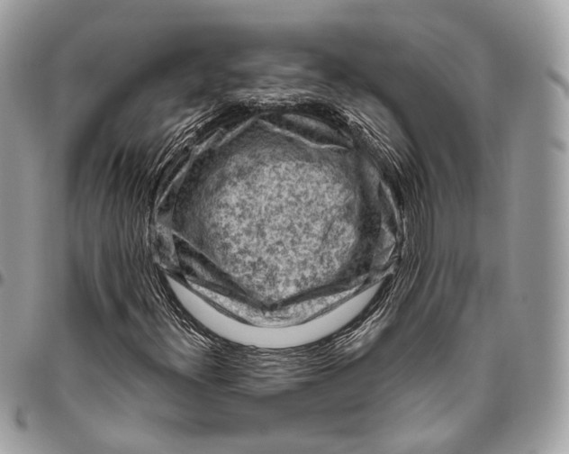 X0000096411300200802141532