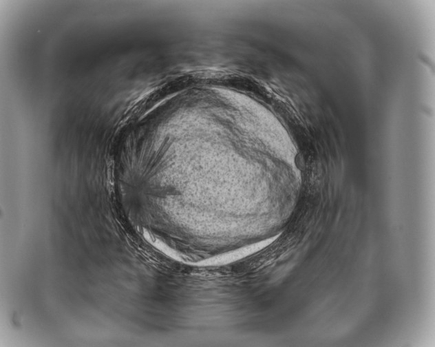 X0000096411301200802141532