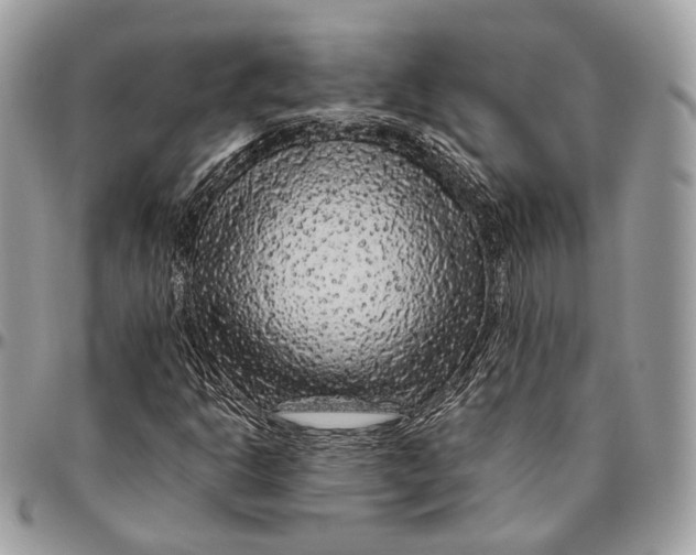 X0000096411302200802141532