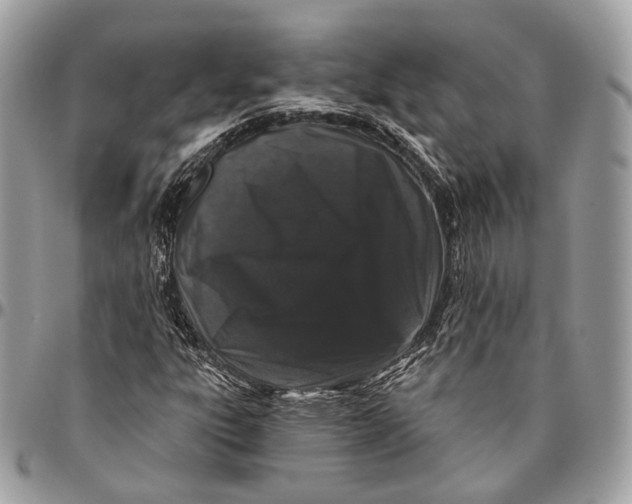 X0000096411303200802141532