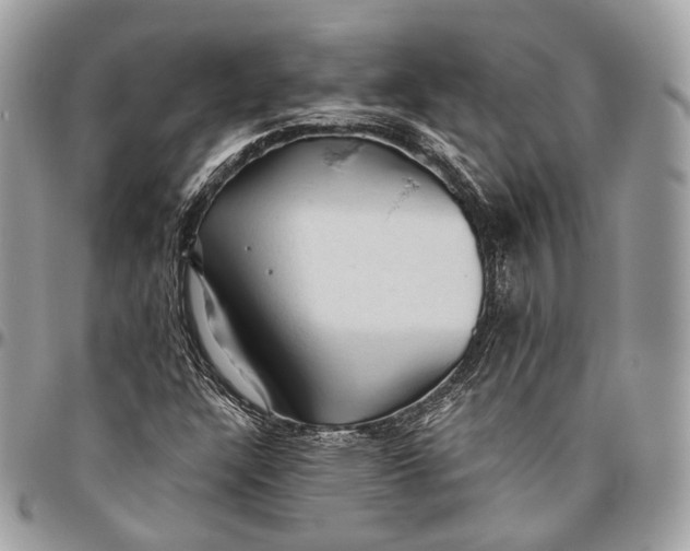 X0000096411304200802141532