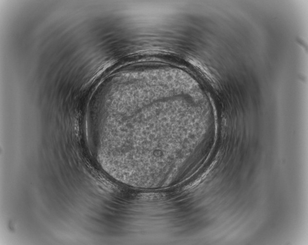 X0000096411305200802141532