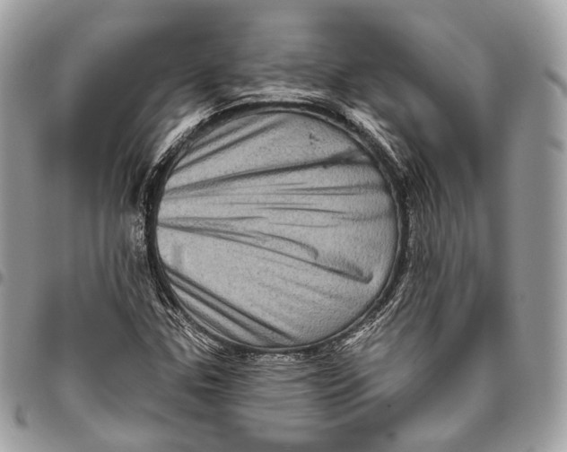 X0000096411307200802141532