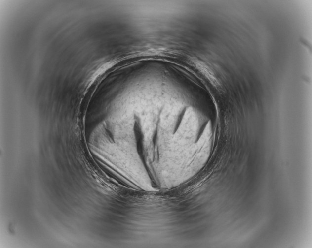 X0000096411308200802141532