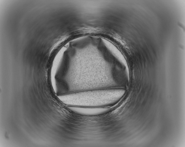 X0000096411309200802141532