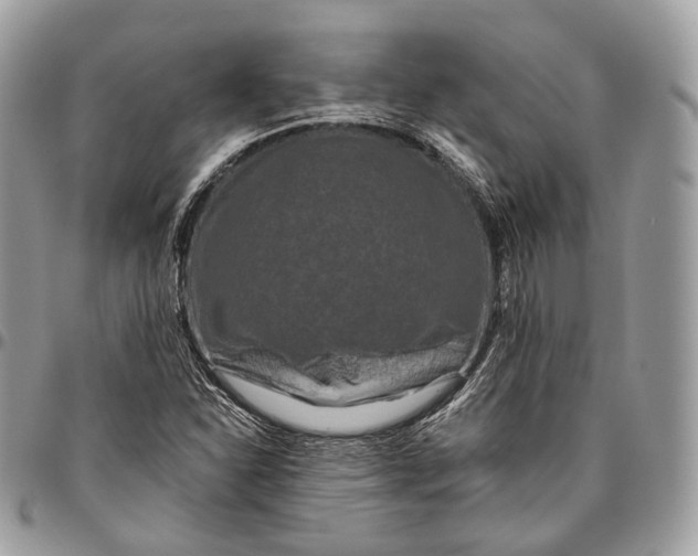 X0000096411310200802141532