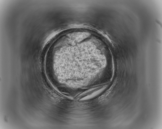 X0000096411311200802141532