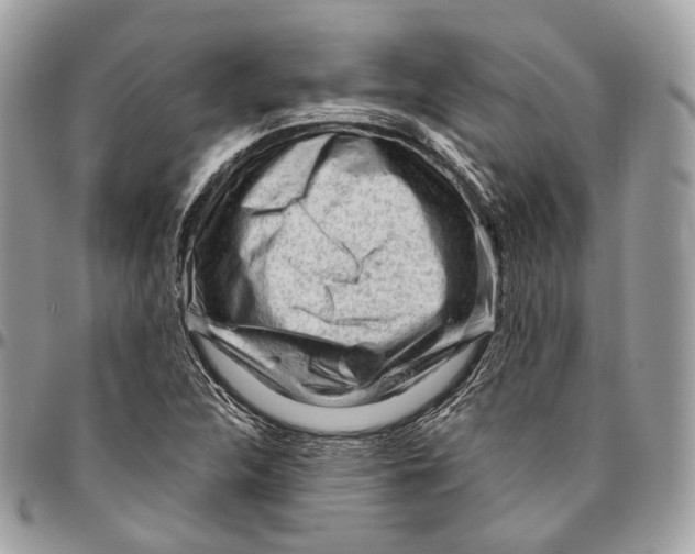 X0000096411312200802141532