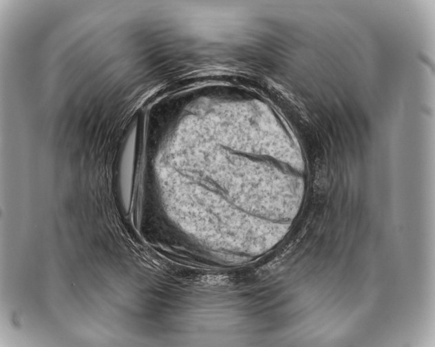 X0000096411313200802141532