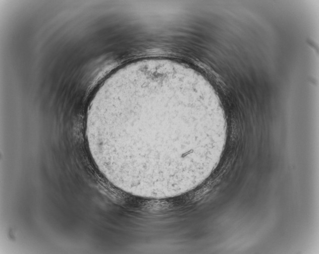 X0000096411314200802141532