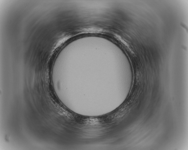 X0000096411315200802141532