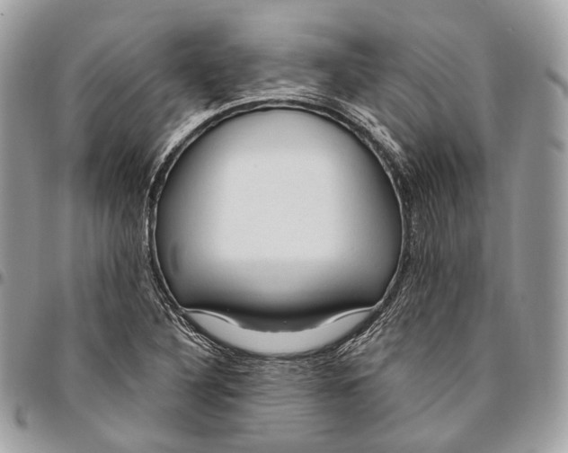 X0000096411316200802141532