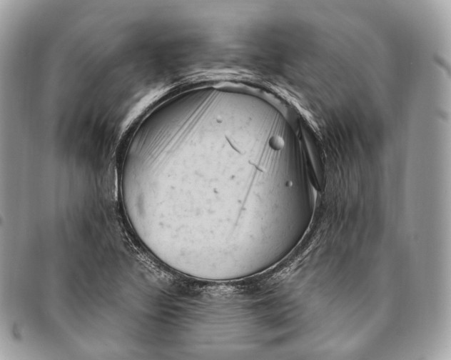 X0000096411317200802141532