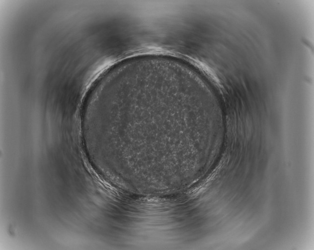 X0000096411318200802141532