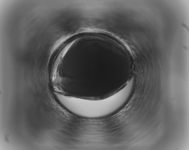 X0000096411319200802141532