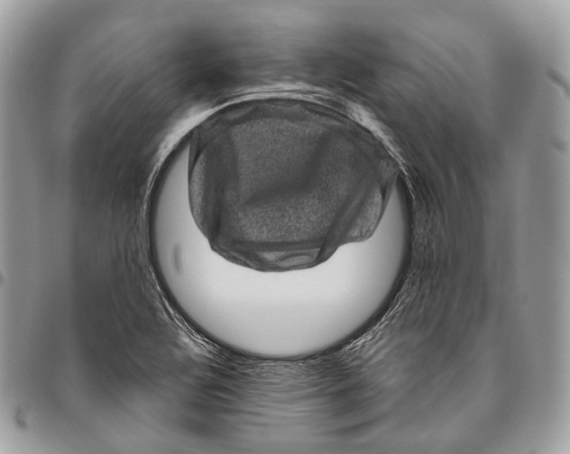 X0000096411320200802141532