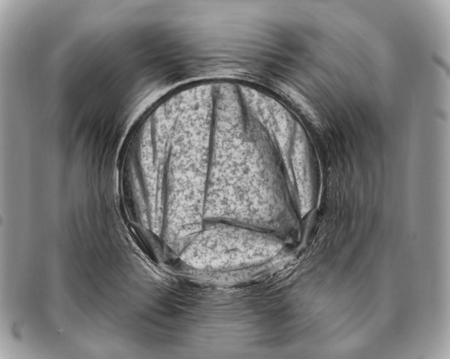 X0000096411324200802141532