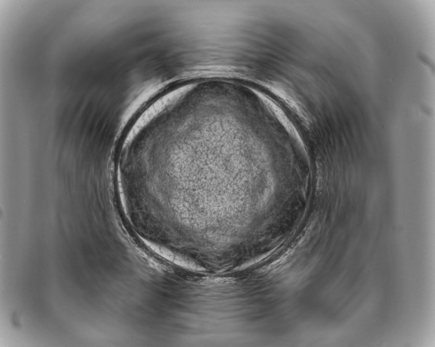 X0000096411325200802141532