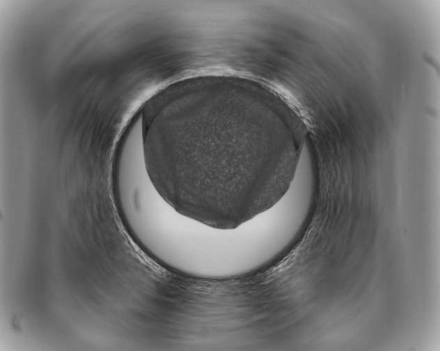 X0000096411326200802141532