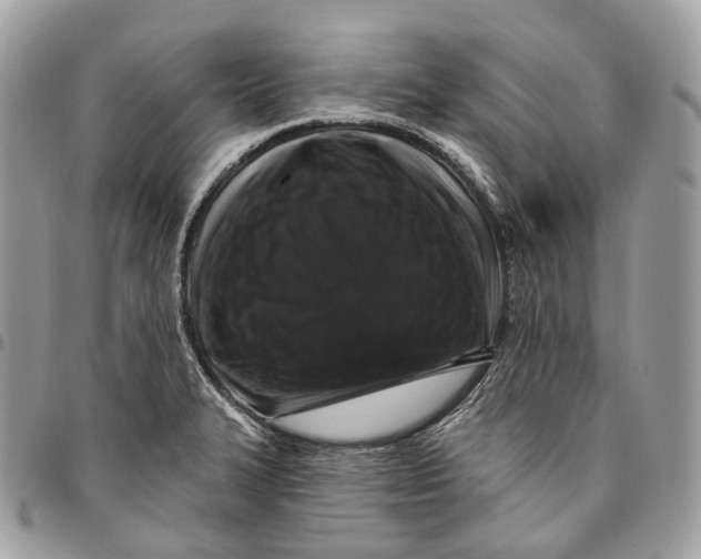 X0000096411327200802141532