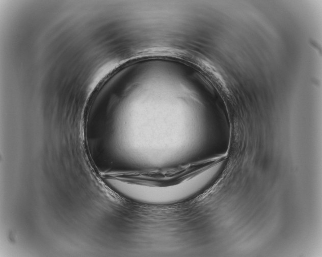 X0000096411328200802141532