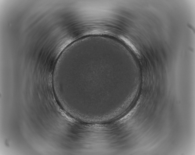 X0000096411329200802141532