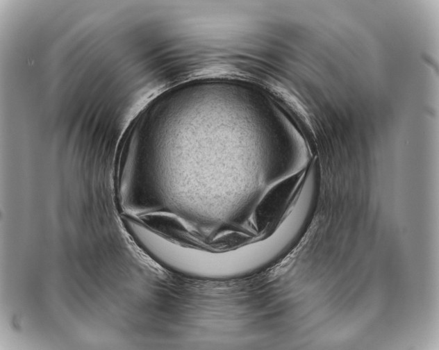 X0000096411330200802141532