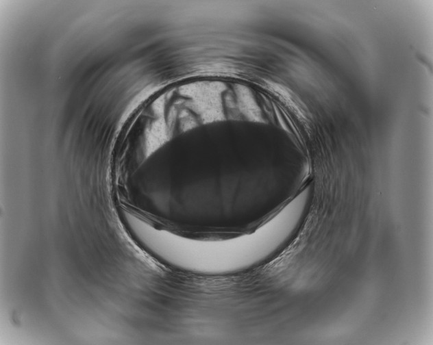 X0000096411331200802141532